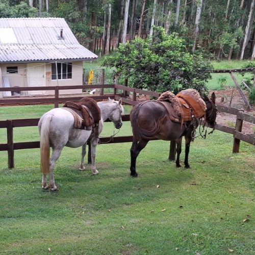 Imagem do WhatsApp de 2025-07-17 à(s) 14.25.30_e37bd64c